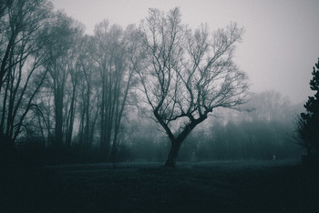 Anxious Morgen / ***