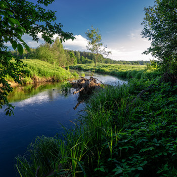 Inselchen / ...