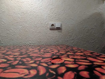  / ***