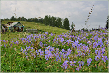 Ural / ***