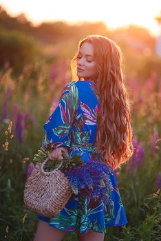 Lupinen / ***