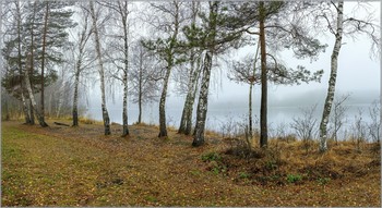 Herbst-Landschaft / ***