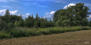 Heimat / ***