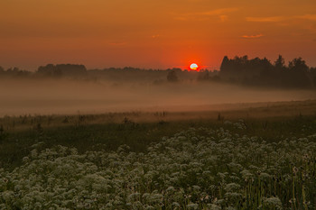 Sonnenuntergang / ***