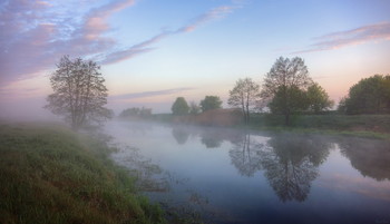 Nebliger Morgen / ***