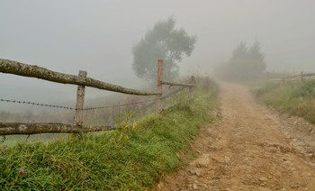 Morgen Stille / ***