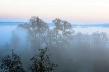 Morgen Stille / ***