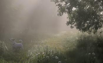 Morgen Stille / ***