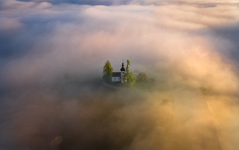 warm morning / ***