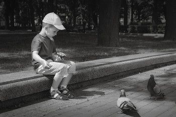 Pigeons / ***