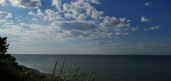 Morgen / ***