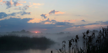 Morgen / ***