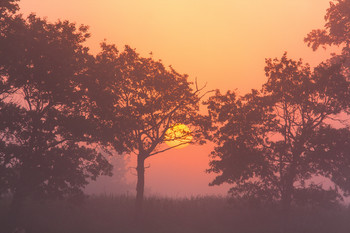 Morgendämmerung / ***