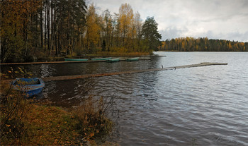 Herbst Trauer / ***