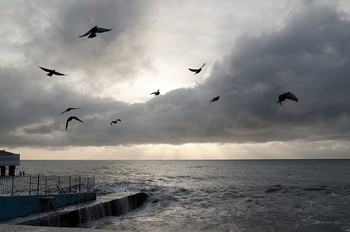 Vor dem Sturm / ***