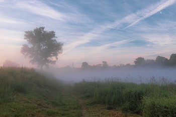 Nebliger Morgen / ***