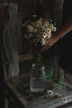 Bouquet von Gänseblümchen / .........................