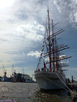 Bark "Sedov" / ***