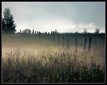  / 2008