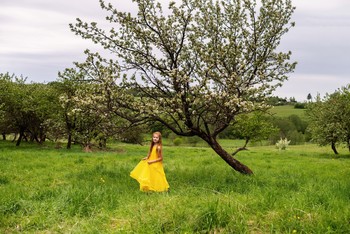 May Blossom / ***