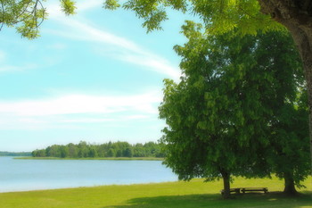 Am Teich / ***