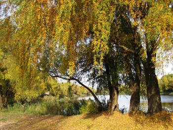 Oktober / ***