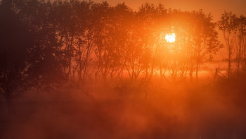 Red Dawn / ***