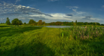 Sommer / ***