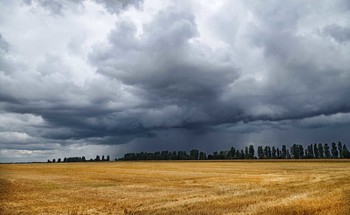 Vor dem Sturm / ***