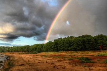 Regenbogen / ***