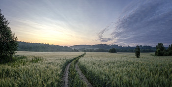 Feld / ...