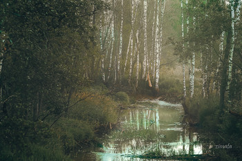 Quiet Corner / ***