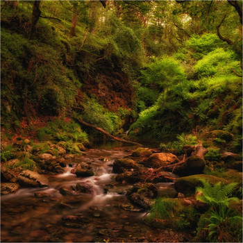 ...in the Kingdom of Glendalough... / ***