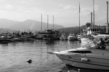PORT / ***