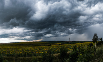Vor dem Sturm / ***