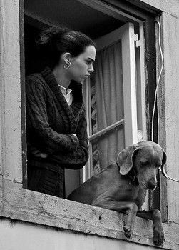 Im Fenster / ***