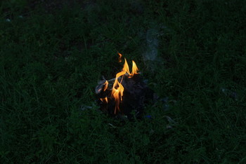 Flamme / ***