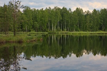 Lake of the Woods / ***