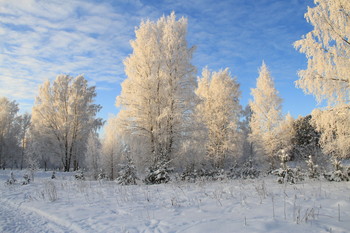Rime / ***