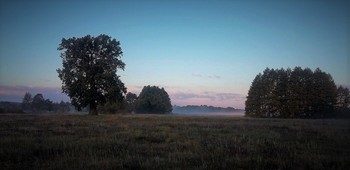 Morgendämmerung / ***