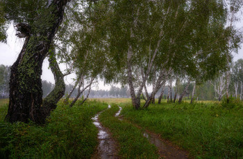 Rainy Stimmung / ***