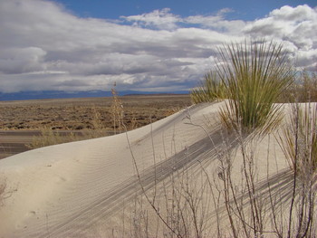  / White Sands National Monument, New Mexico, USA
https://www.nps.gov/whsa/index.htm