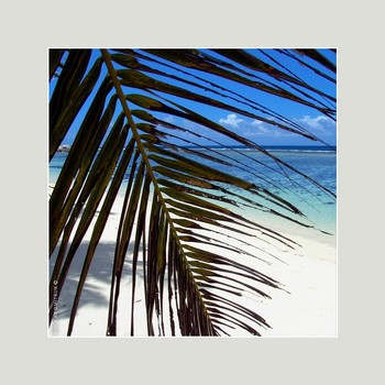  / music: Laid Back - Fly Away
Laid Back - Fly Away