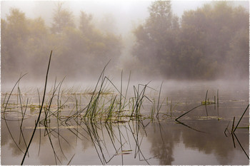 Nebel auf dem Fluss / ***