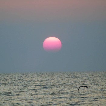 Sonnenuntergang / ***