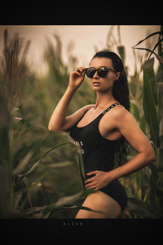 Sommer / ***