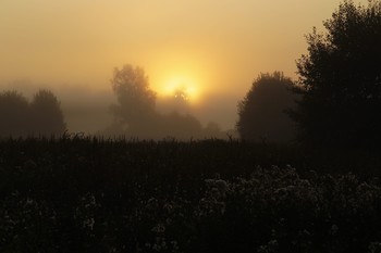 Im Morgenlicht / ***