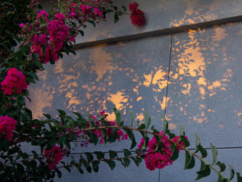 Licht und Schatten / ......