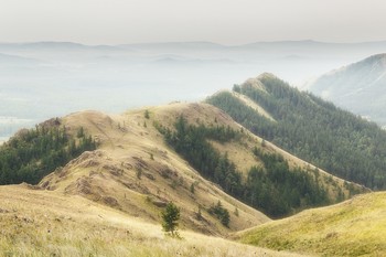 Ridge Nurali / ***