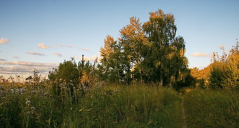 Weg / ***
